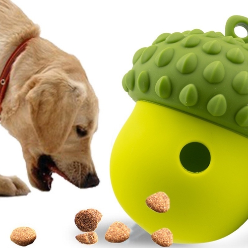 Neueste Unternehmensnachrichten über Top-Silicone-Haustierprodukte für Hunde und Katzen