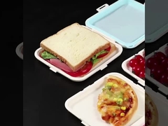 Sandwichbehälter für die Lunchbox